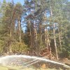 2012-03-22 14.52.17_2